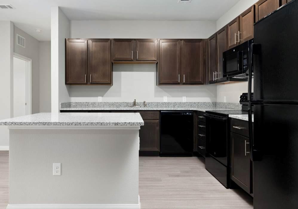 13411 FM812 RD #10303, Del Valle, TX 78617 photo 4