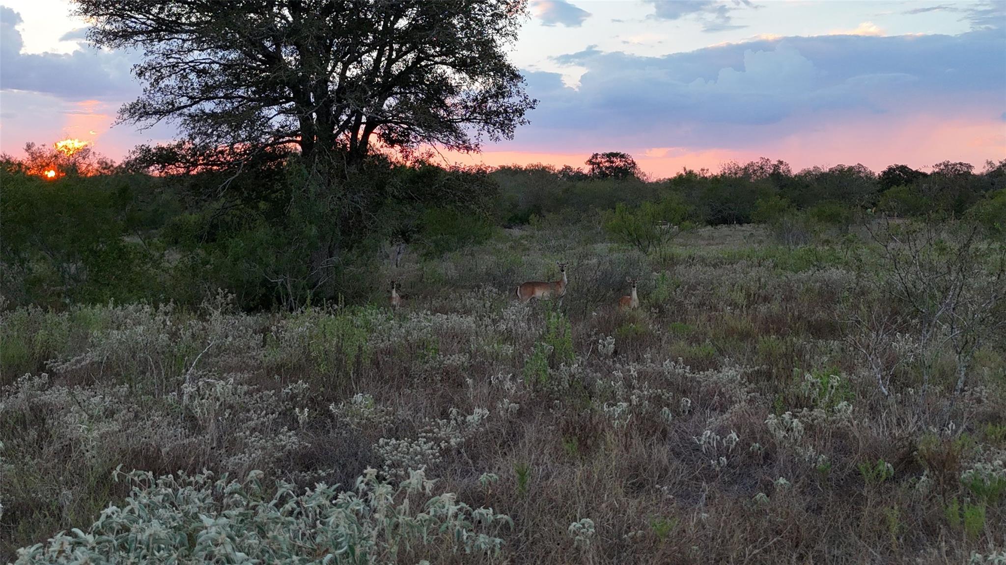 859 Lakey RD, Nixon, TX 78140 photo 3