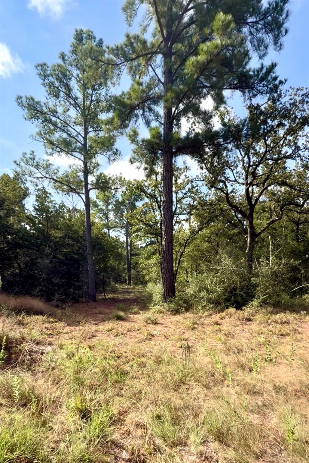 TBD Marlin ST, McDade, TX 78650 photo 5