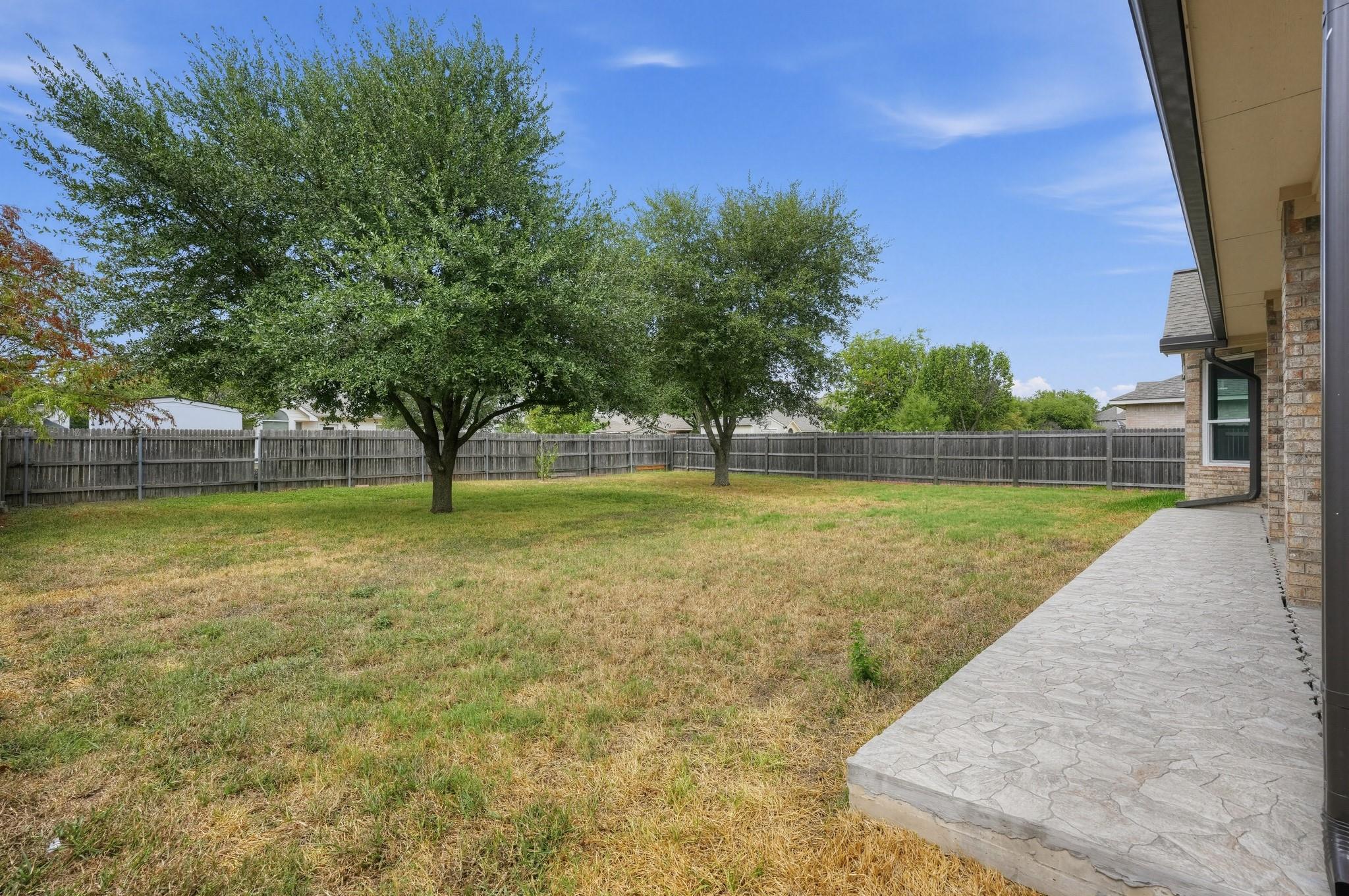 16804 Brewer Blackbird DR, Pflugerville, TX 78660 photo 4