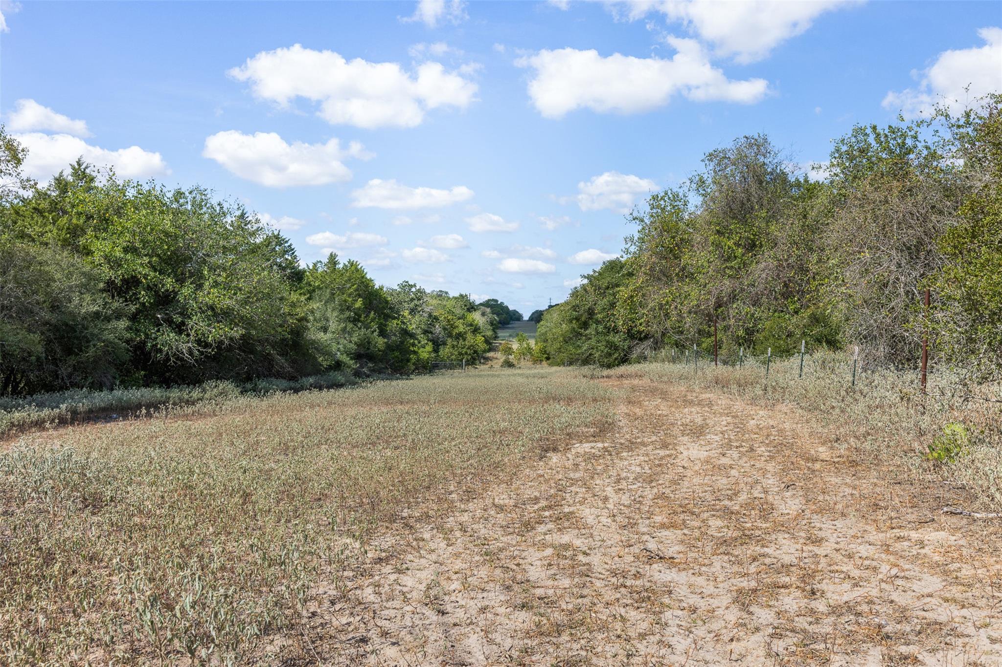 2025 Mule Creek RD, Harwood, TX 78632 photo 2