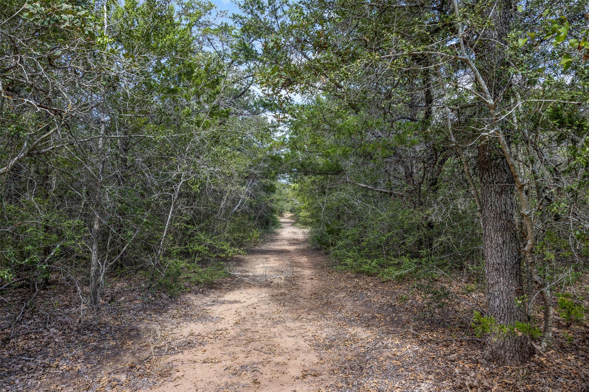 2025 Mule Creek RD, Harwood, TX 78632 photo 3