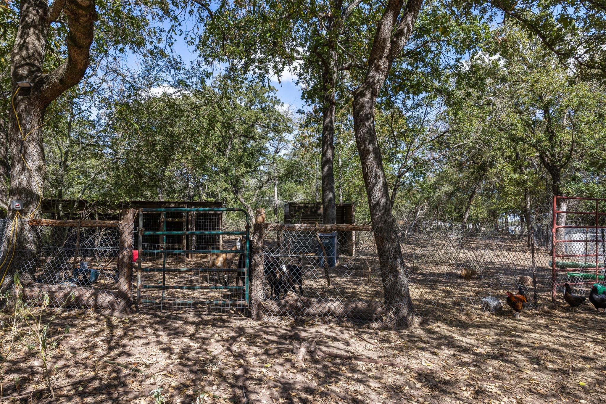 2025 Mule Creek RD, Harwood, TX 78632 photo 5