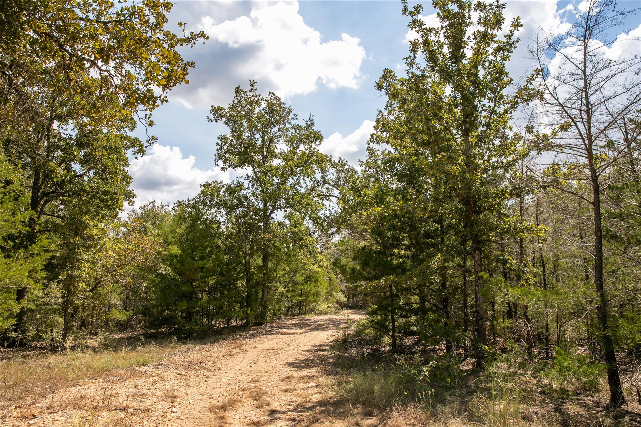 TBD FM 180, Ledbetter, TX 78946 photo 2