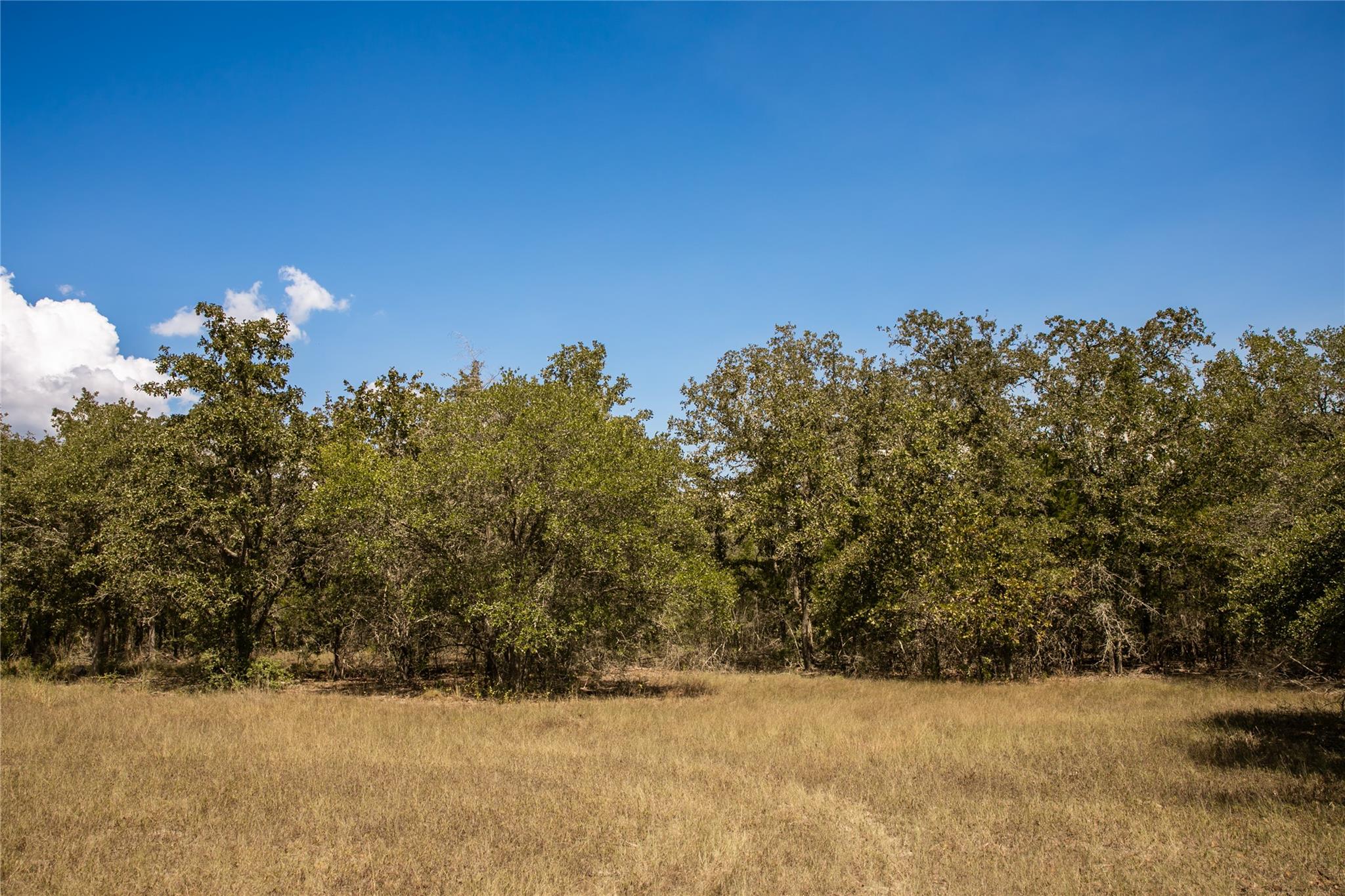 TBD FM 180, Ledbetter, TX 78946 photo 5