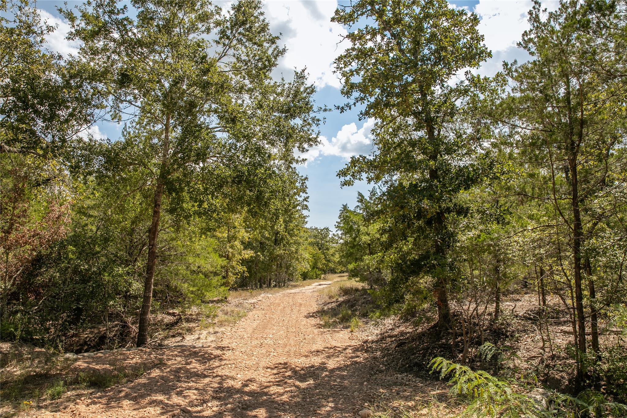 TBD FM 180, Ledbetter, TX 78946 photo 4