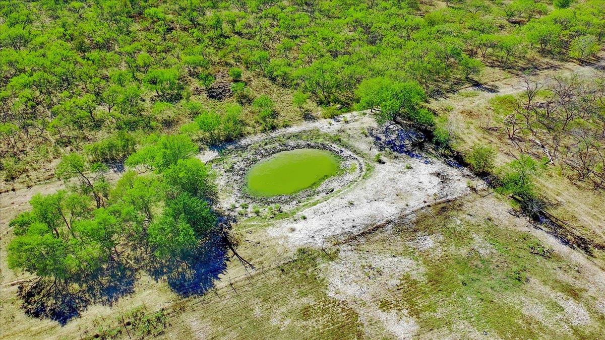 12270 Fm 642, Dawson, TX 76639 photo 3