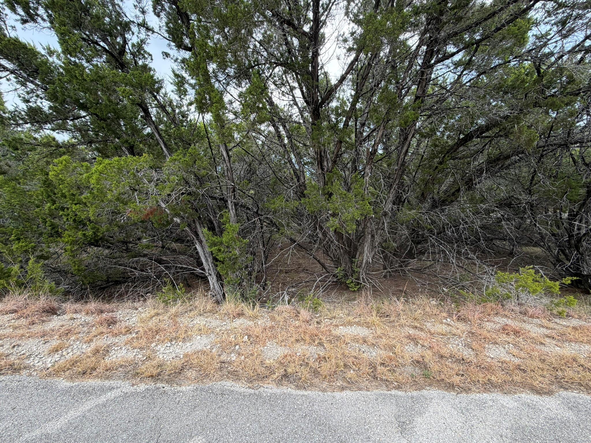 3600 Stillwood LN, Lago Vista, TX 78645 photo 3