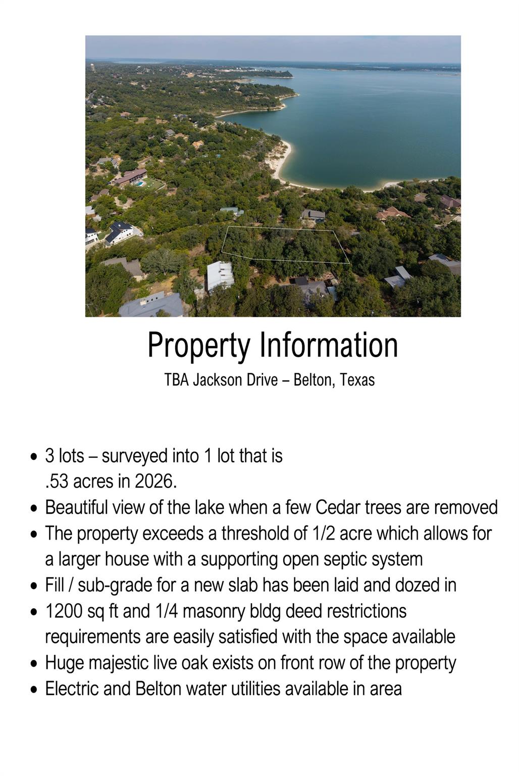 0 Jackson DR, Belton, TX 76513 photo 4