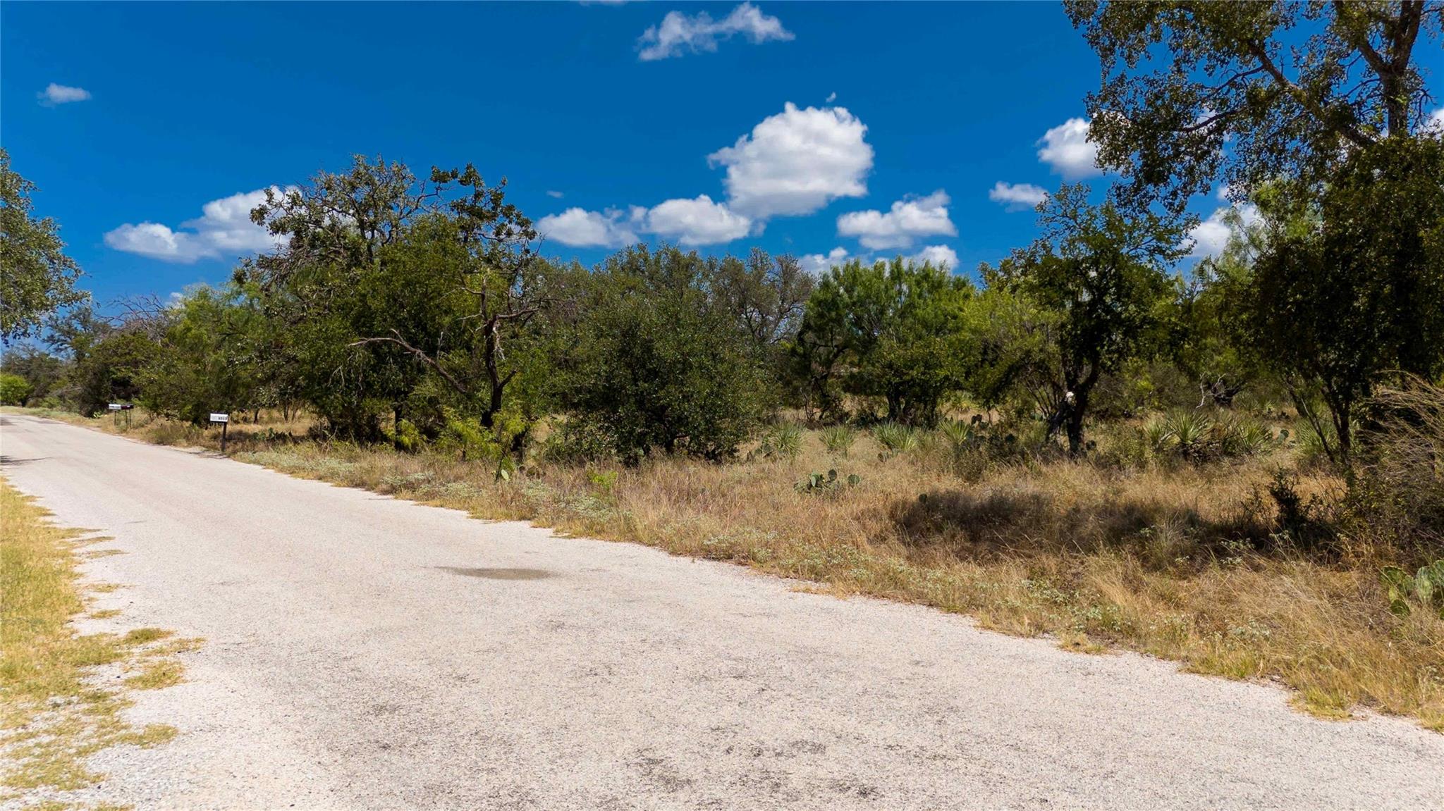 3308 Sagebrush TRL, Kingsland, TX 78639 photo 3