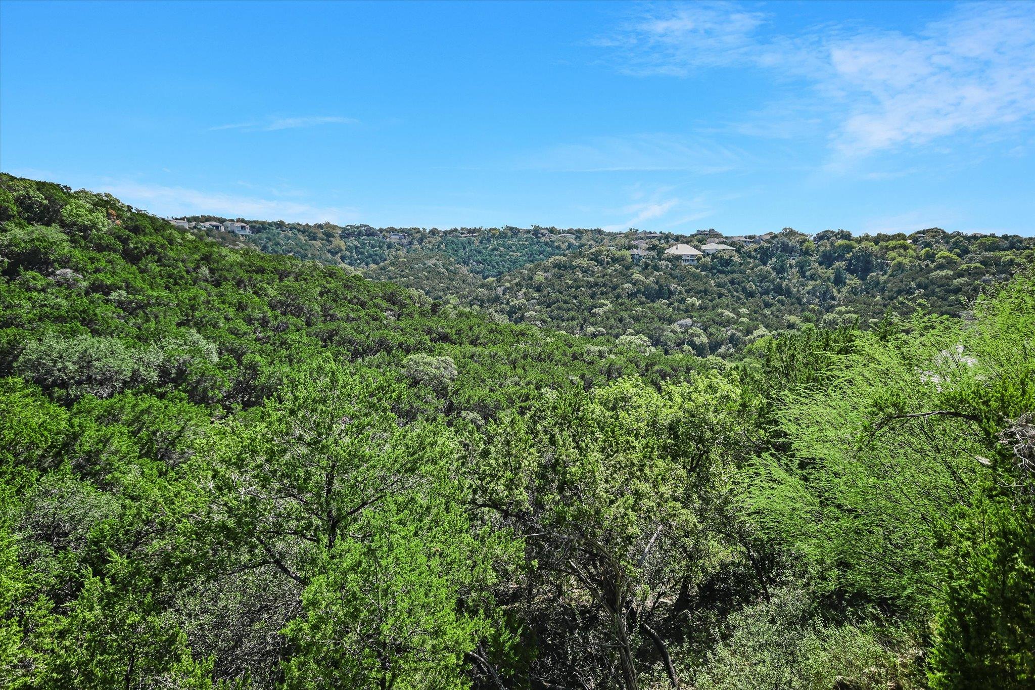 6911 Cat Creek RUN, Austin, TX 78731 photo 4