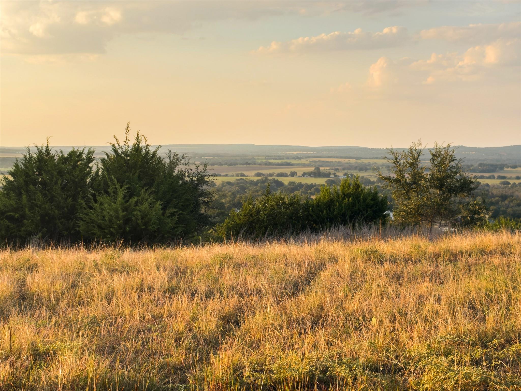 Vineyard Ridge