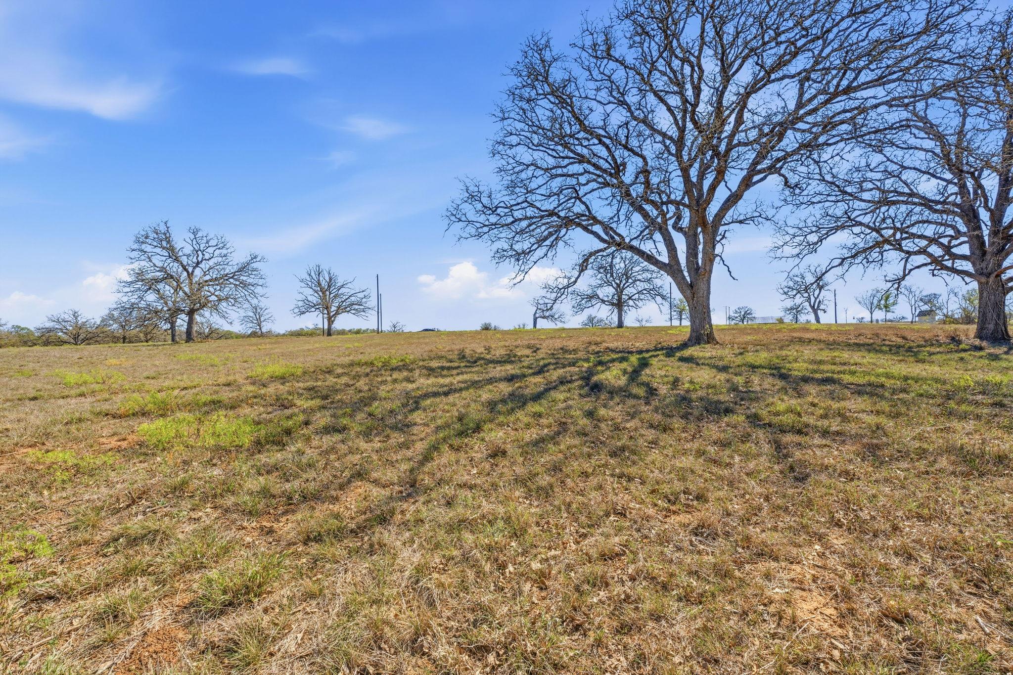 Blue Sky Estates