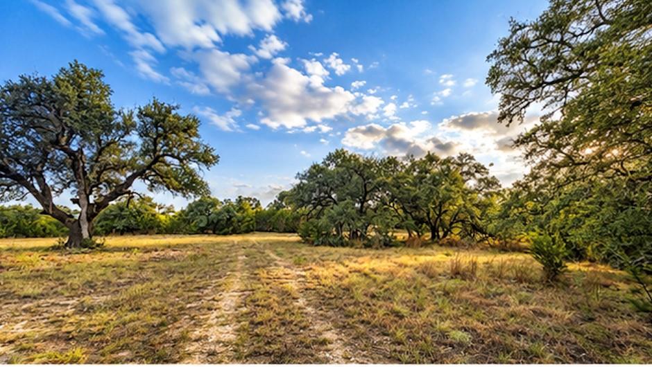 208 Viento CV, Blanco, TX 78606 photo 5