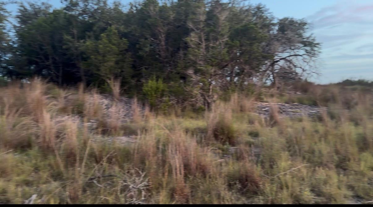 3700 FM 2325, Wimberley, TX 78676 photo 4