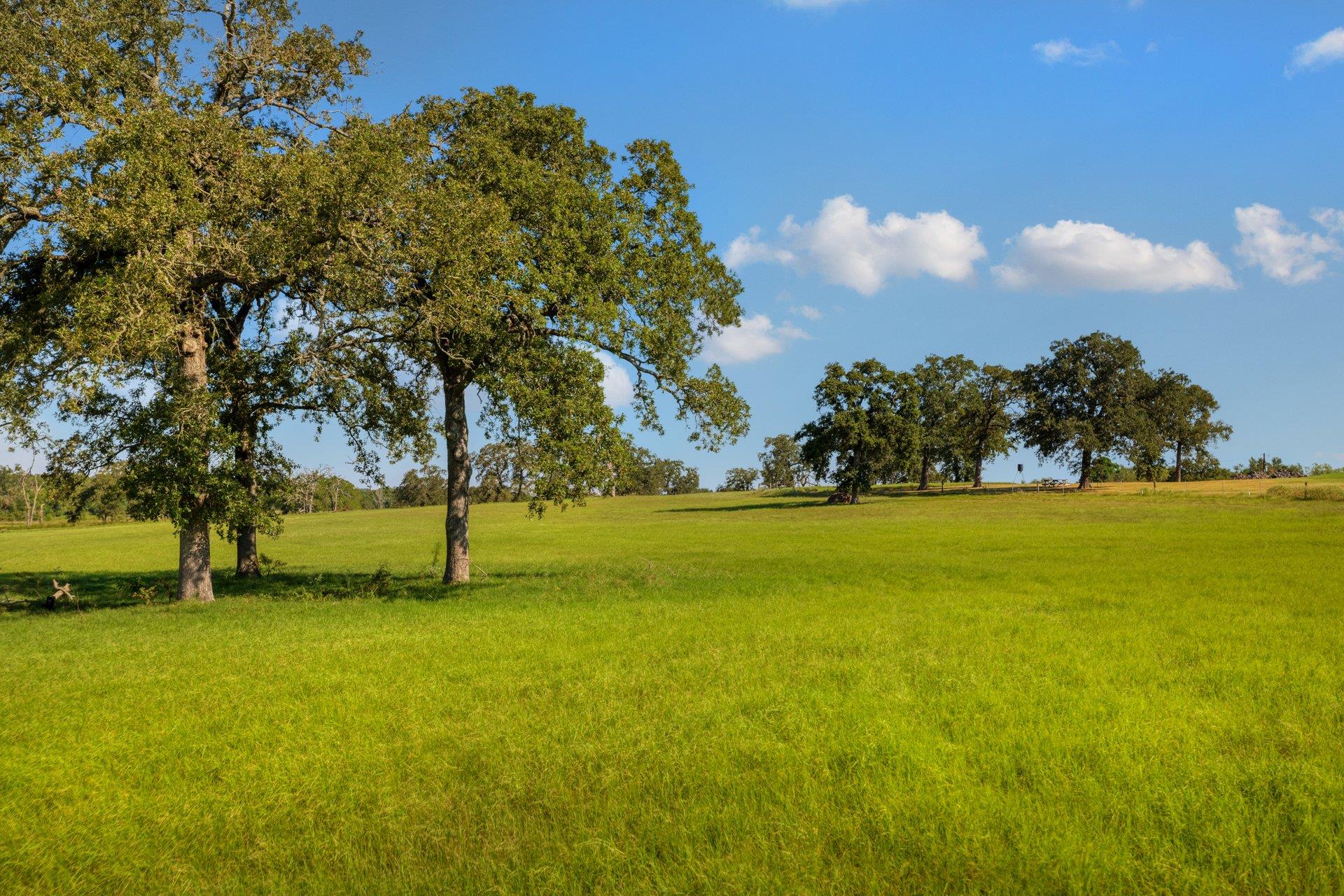 TBD CR 302 RD, Rockdale, TX 76567 photo 2