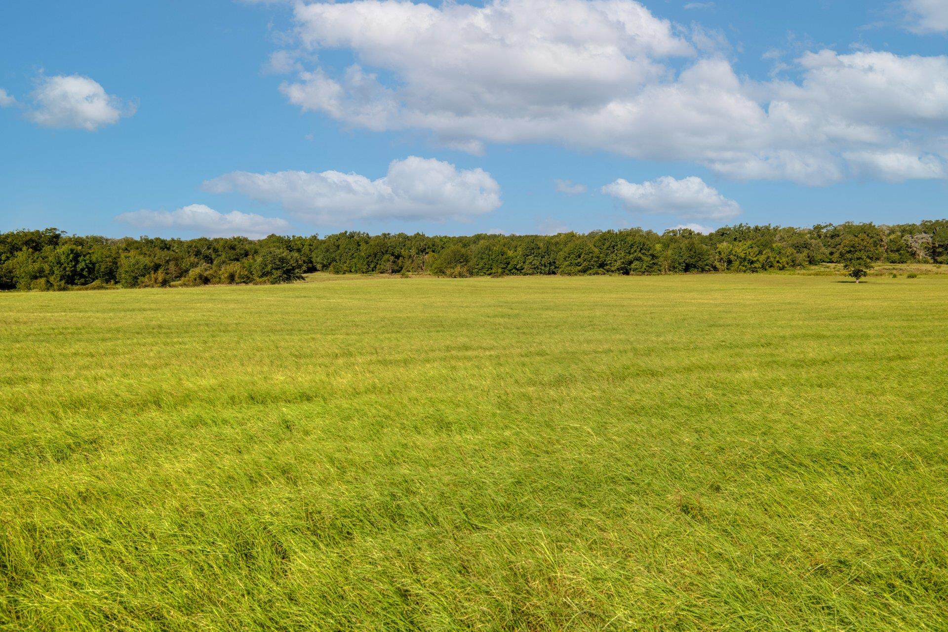 TBD CR 302 RD, Rockdale, TX 76567 photo 5