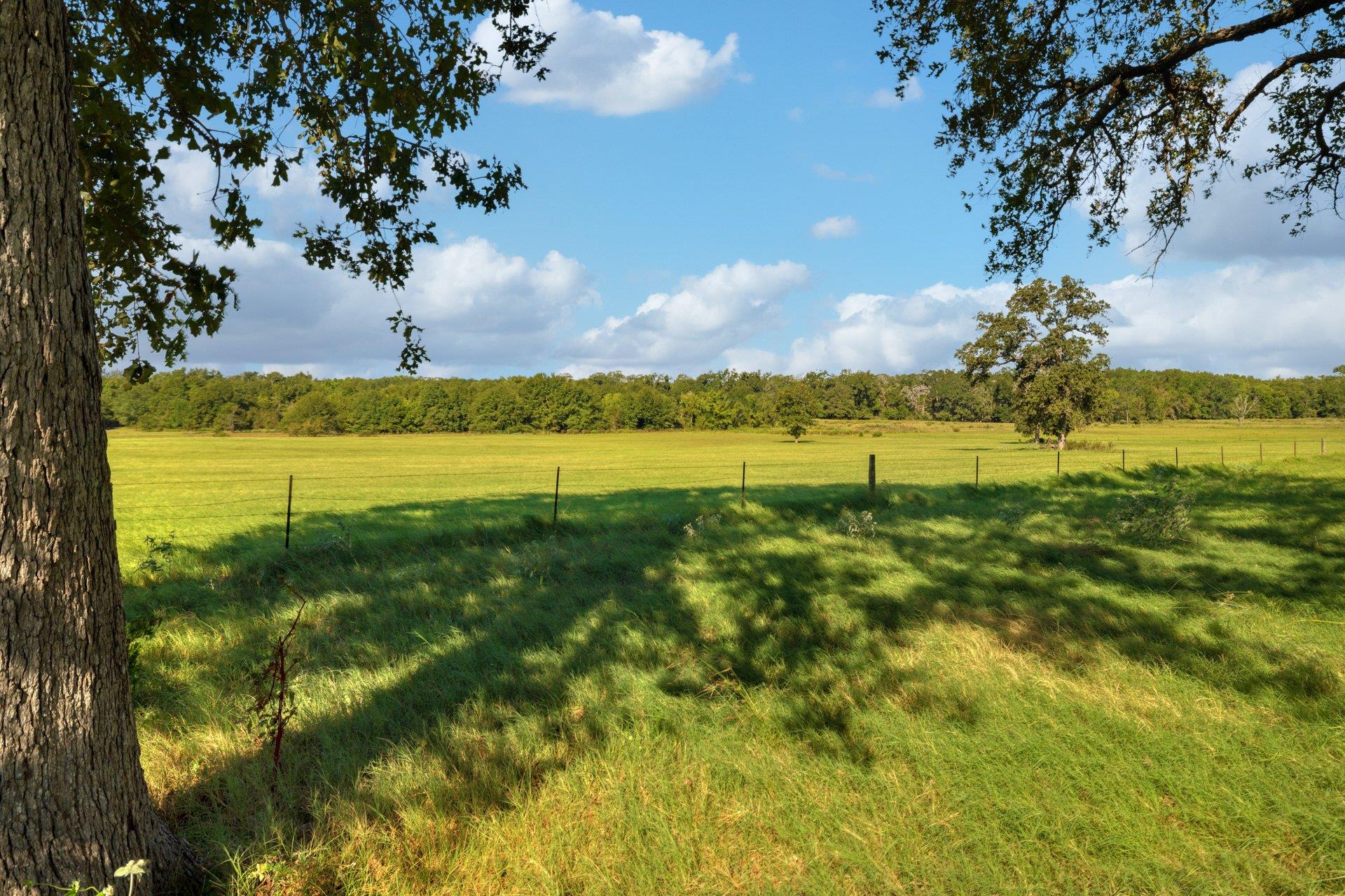 TBD CR 302 RD, Rockdale, TX 76567 photo 4