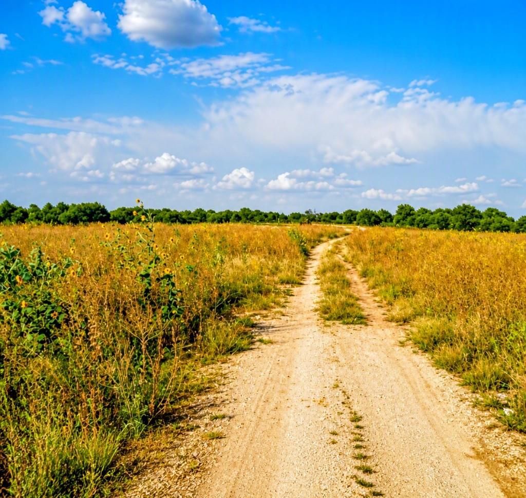 Leff Acres