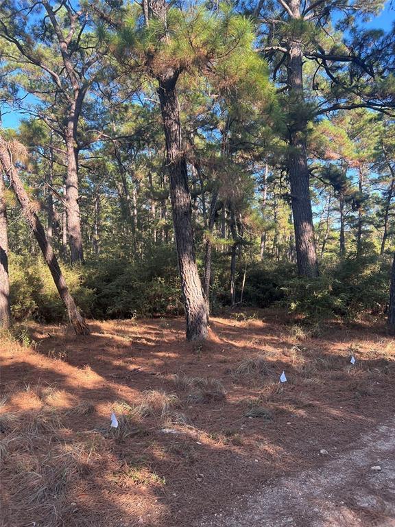 TBD Pine Lodge DR, Bastrop, TX 78602 photo 2