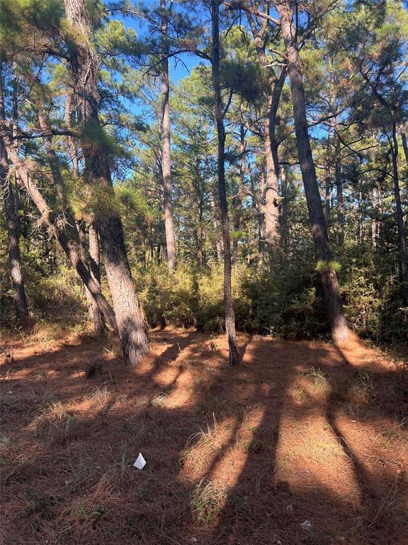 TBD Pine Lodge DR, Bastrop, TX 78602 photo 3