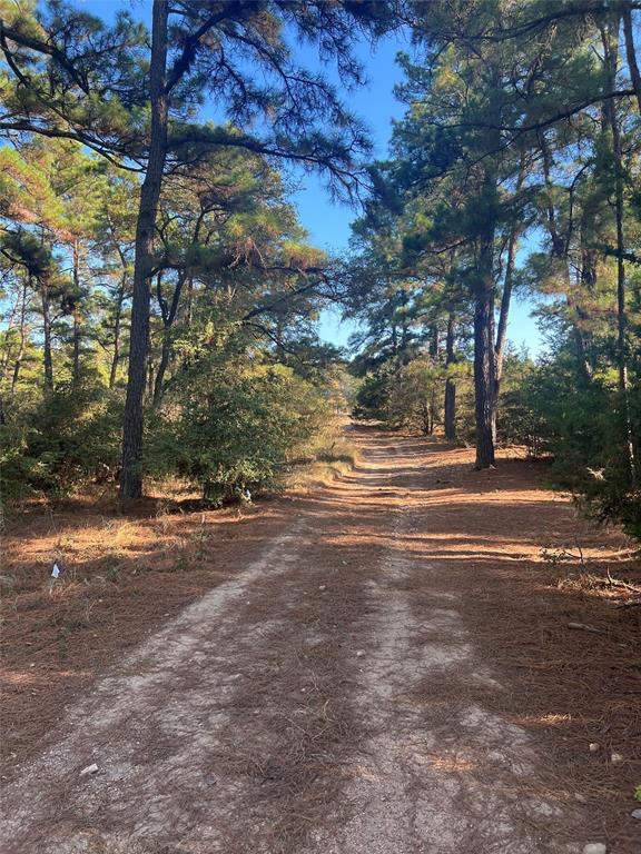 Pine Forest Unit 6 Ph Ii