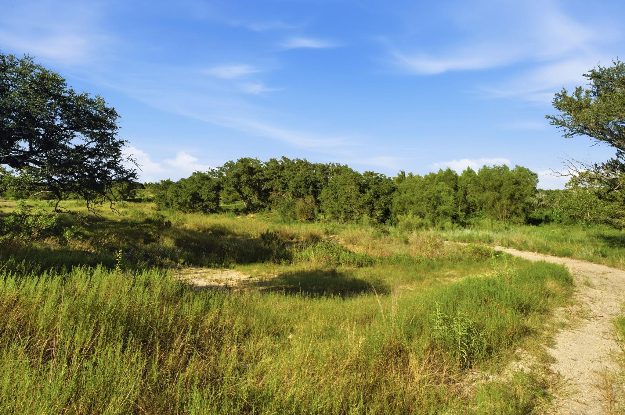 TBD Lot 8 Ranchero ST, Bertram, TX 78605 photo 2