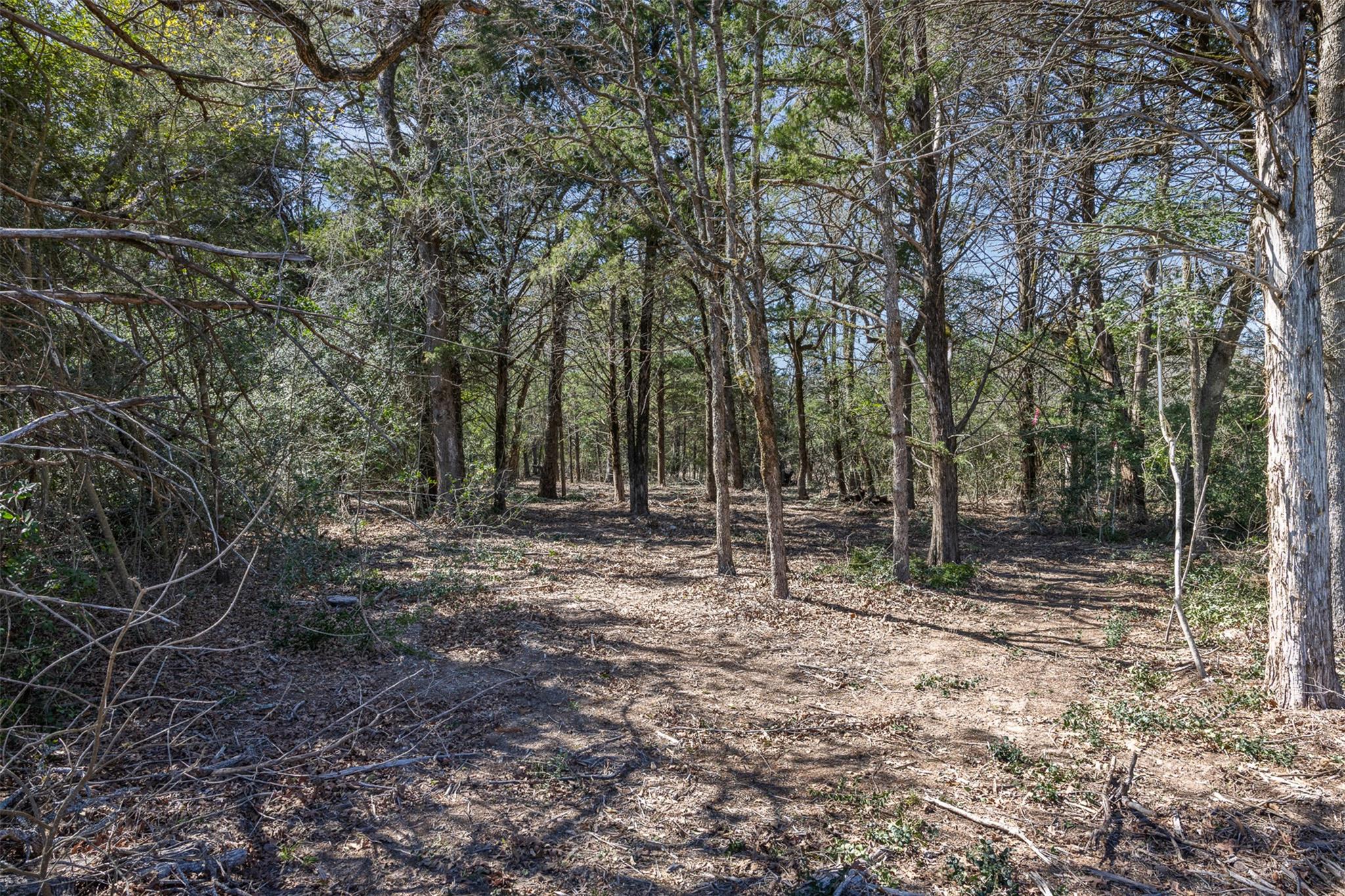 Acreage Estates on Pauline Lane