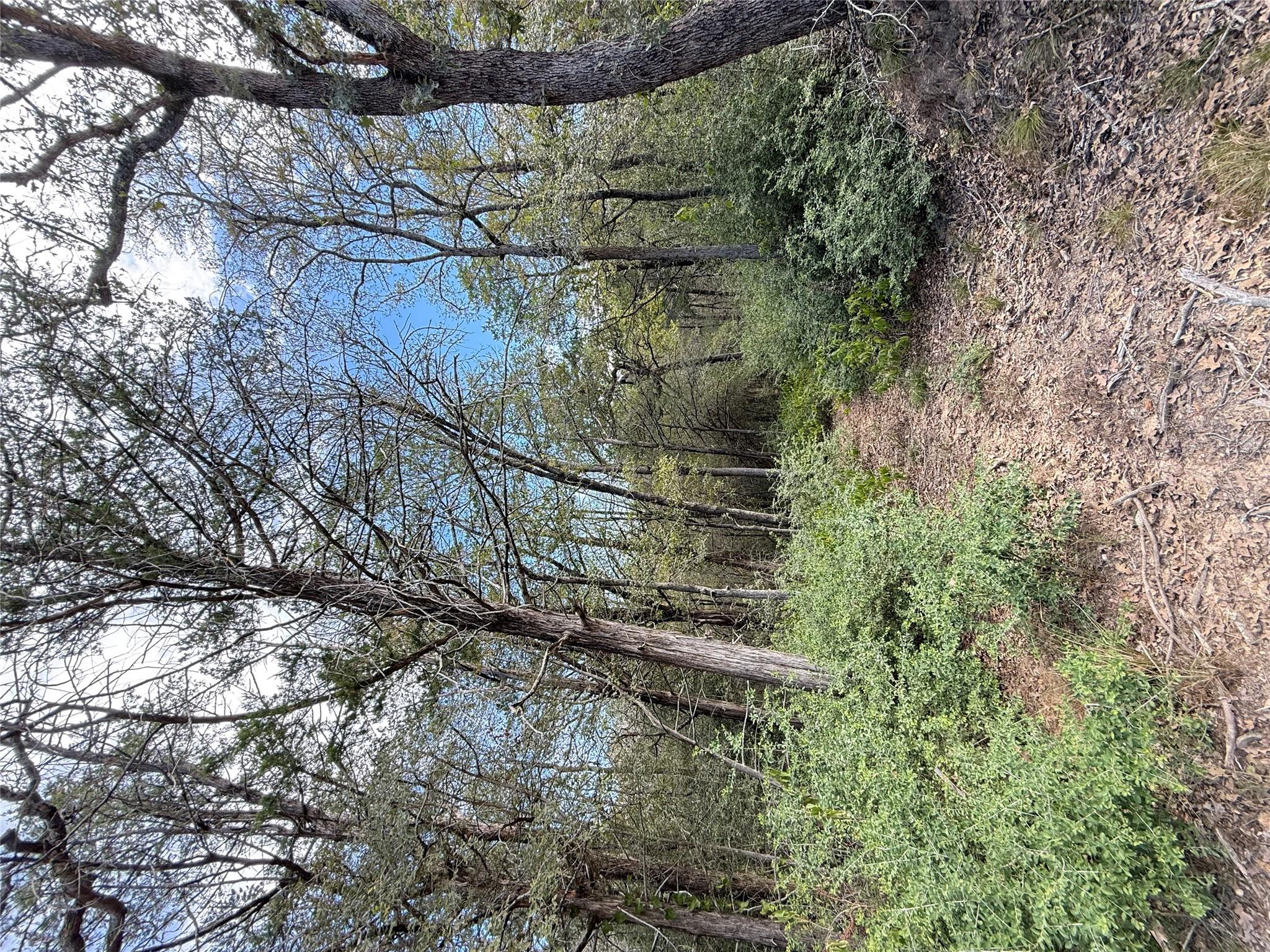 TBD Hanauma, Bastrop, TX 78602 photo 3