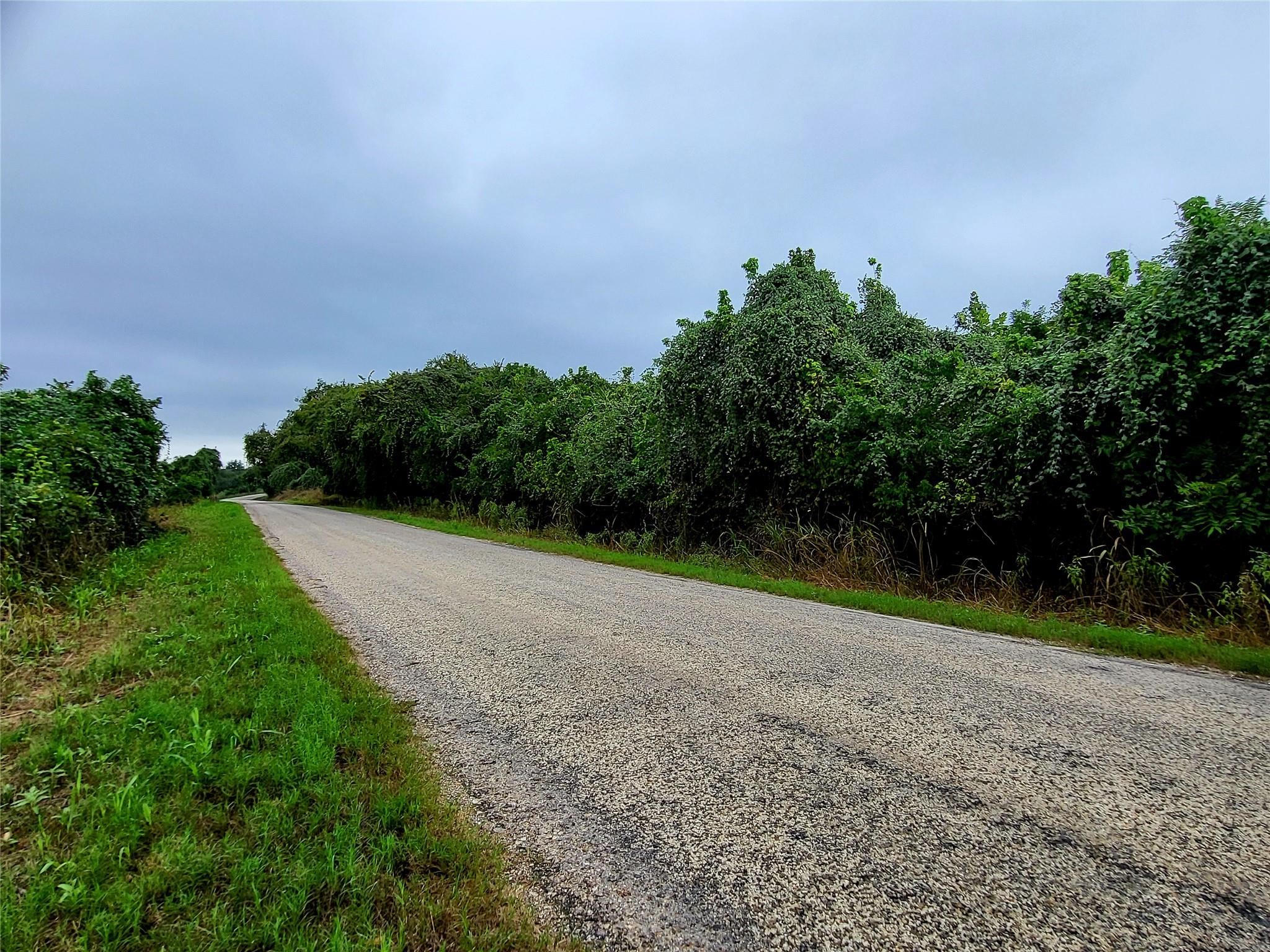 446 Riverside DR, Bastrop, TX 78602 photo 5