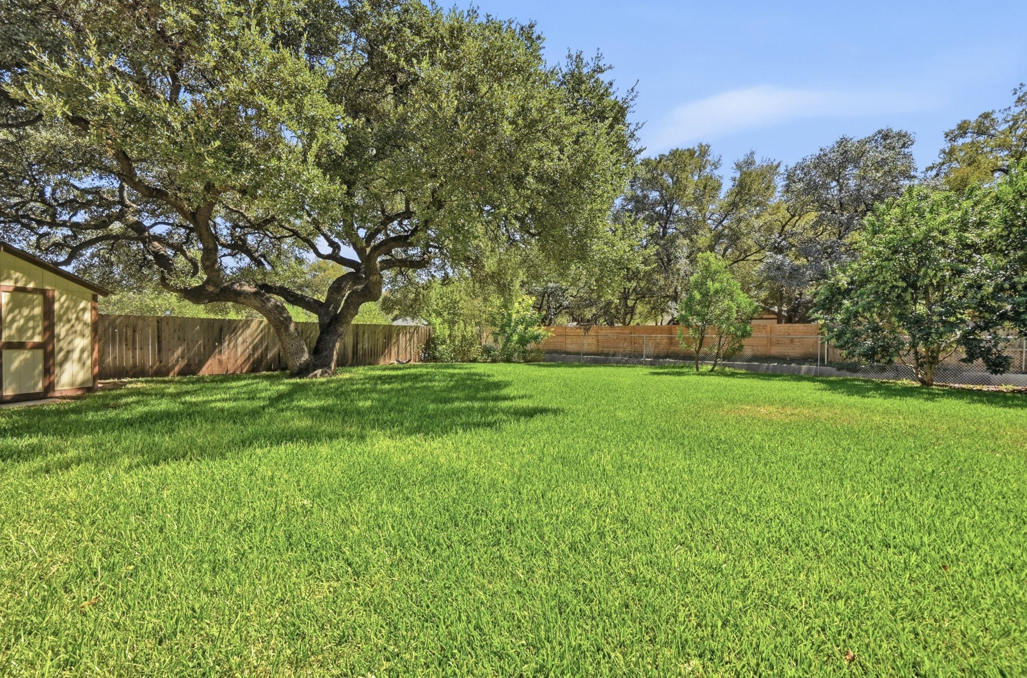 810 Pine Siskin DR, Buda, TX 78610 photo 4