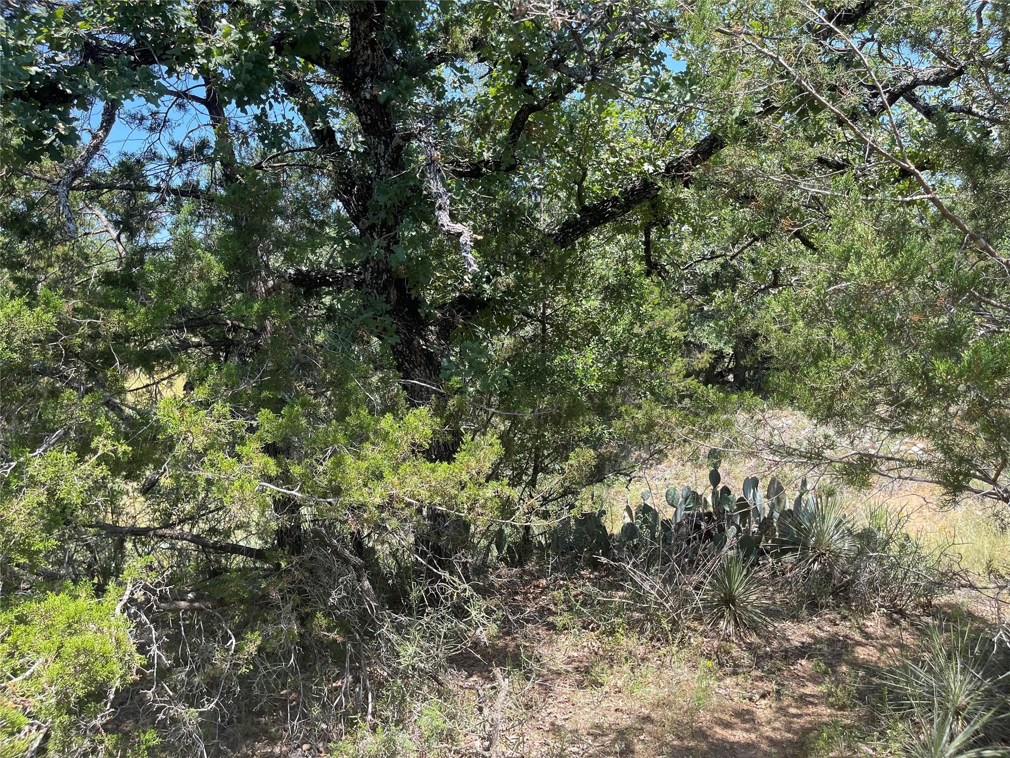 TBD W. Castlelakes DR, Granite Shoals, TX 78654 photo 5