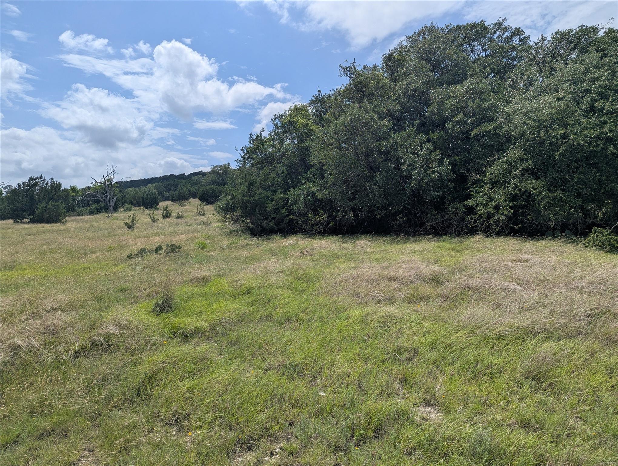 Cottonwood Mesa
