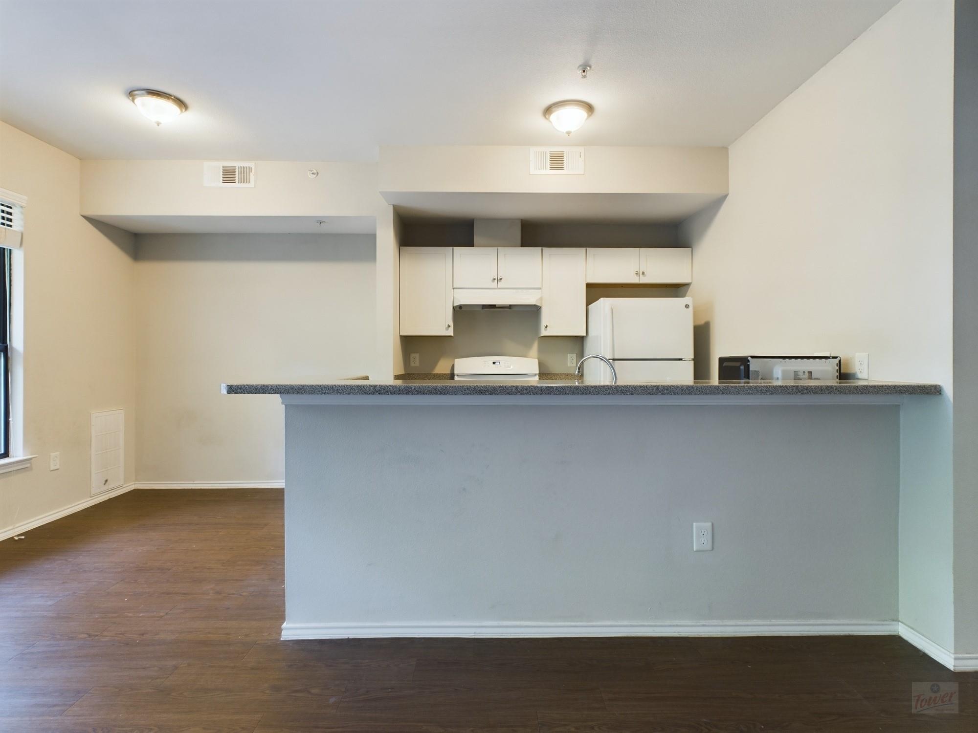 3839 Dry Creek DR #105, Austin, TX 78731 photo 4