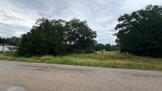 000 Cool Water DR, Bastrop, TX 78602 photo 3