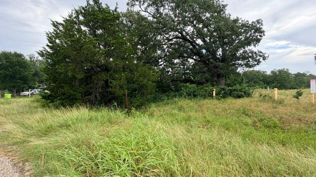 000 Cool Water DR, Bastrop, TX 78602 photo 5