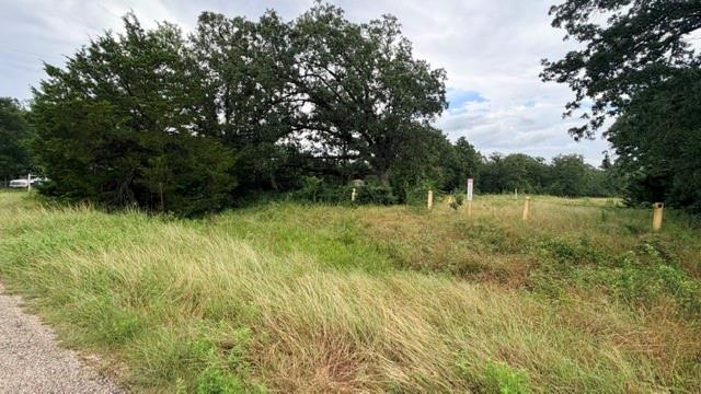 000 Cool Water DR, Bastrop, TX 78602 photo 4