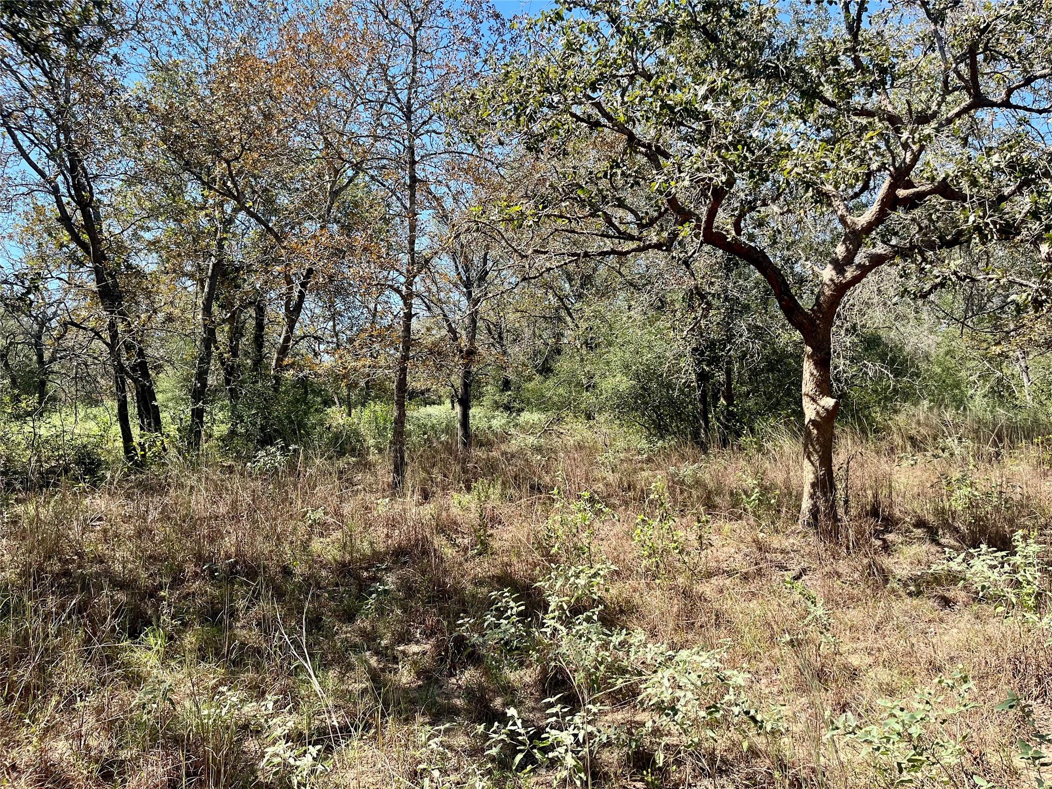 The Settlement at Patriot Ranch / Unit 2