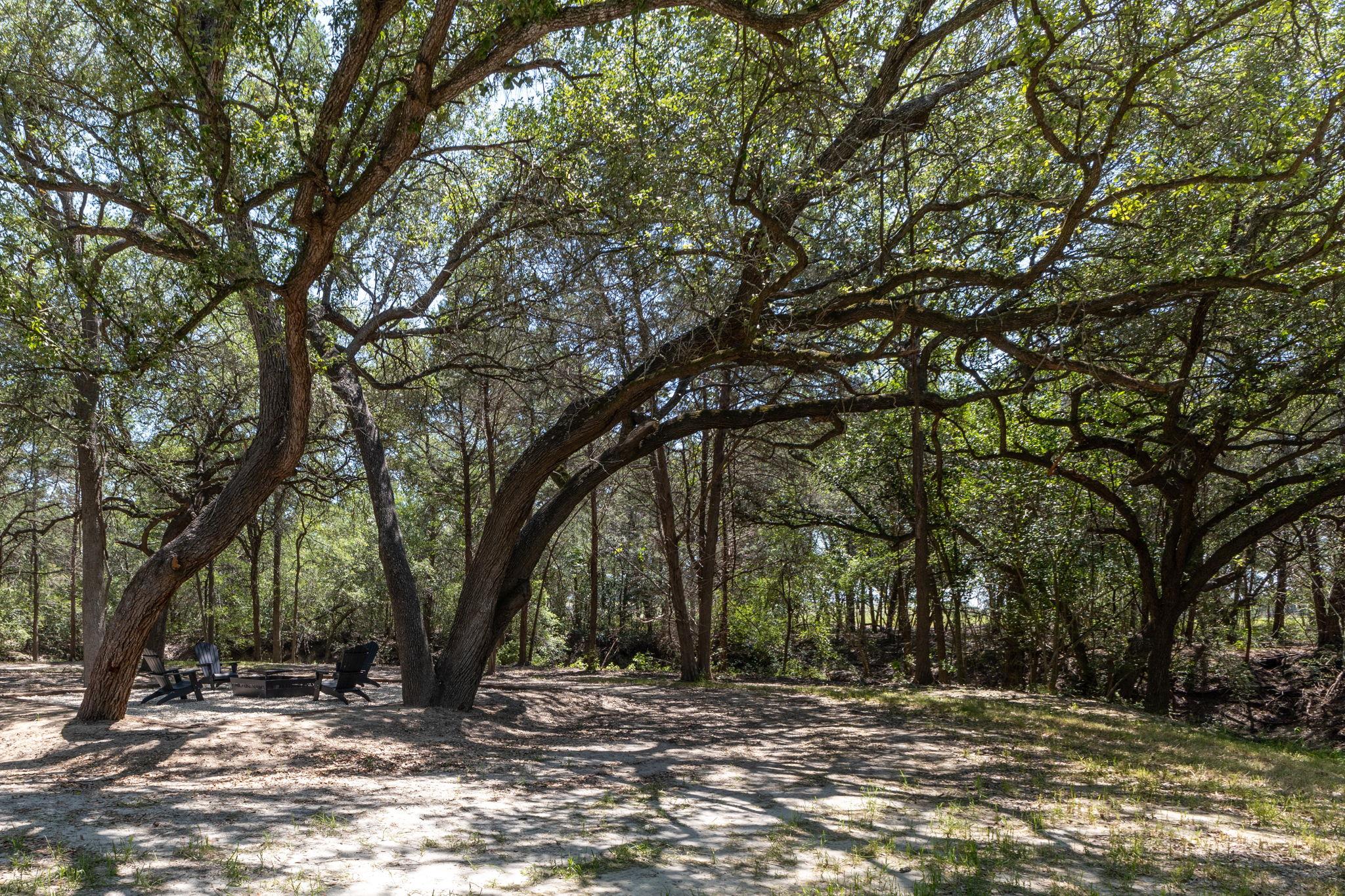 2088 (Tract #3) Baca LOOP, Flatonia, TX 78941 photo 4