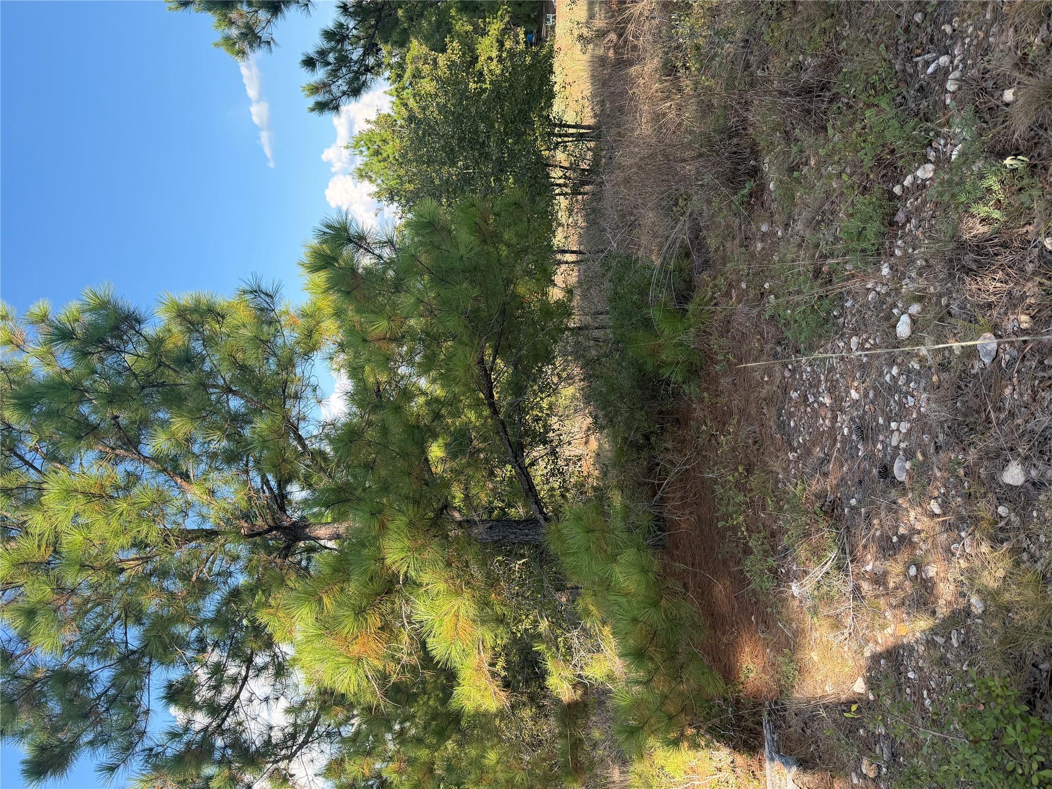 Lot 702 Oahu CT, Bastrop, TX 78602 photo 2