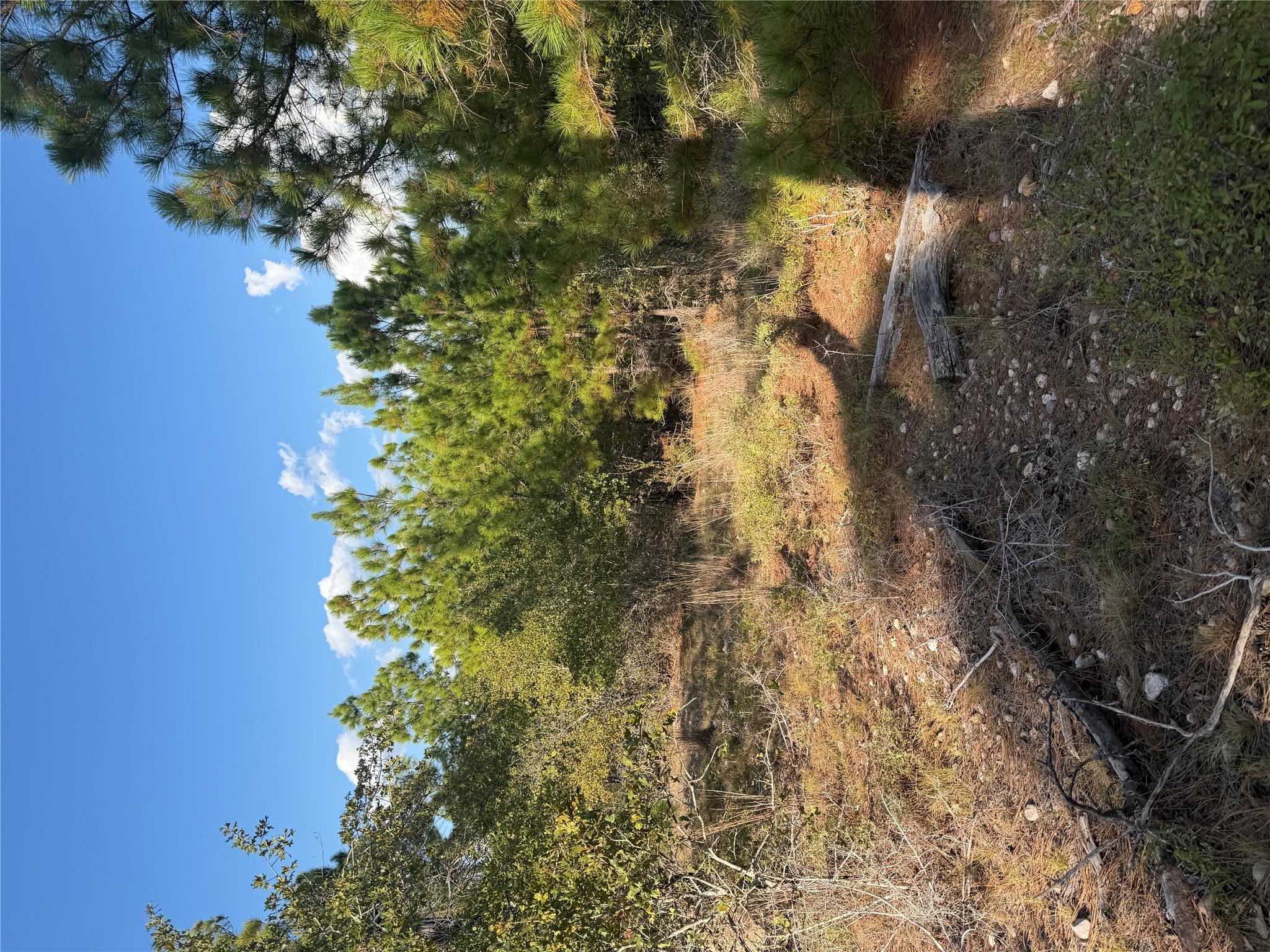 Lot 702 Oahu CT, Bastrop, TX 78602 photo 3