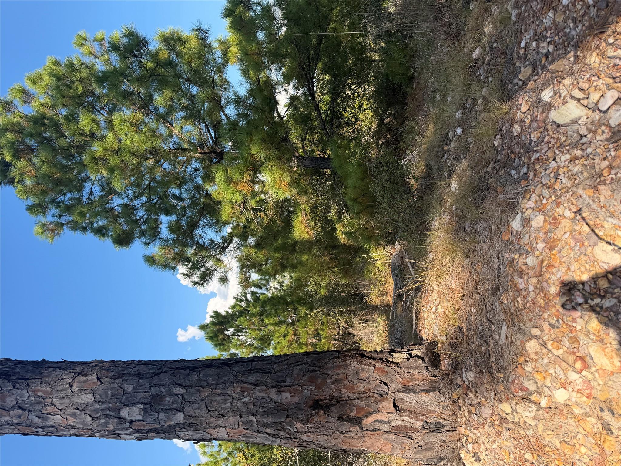 Lot 702 Oahu CT, Bastrop, TX 78602 photo 5