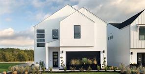 Novel